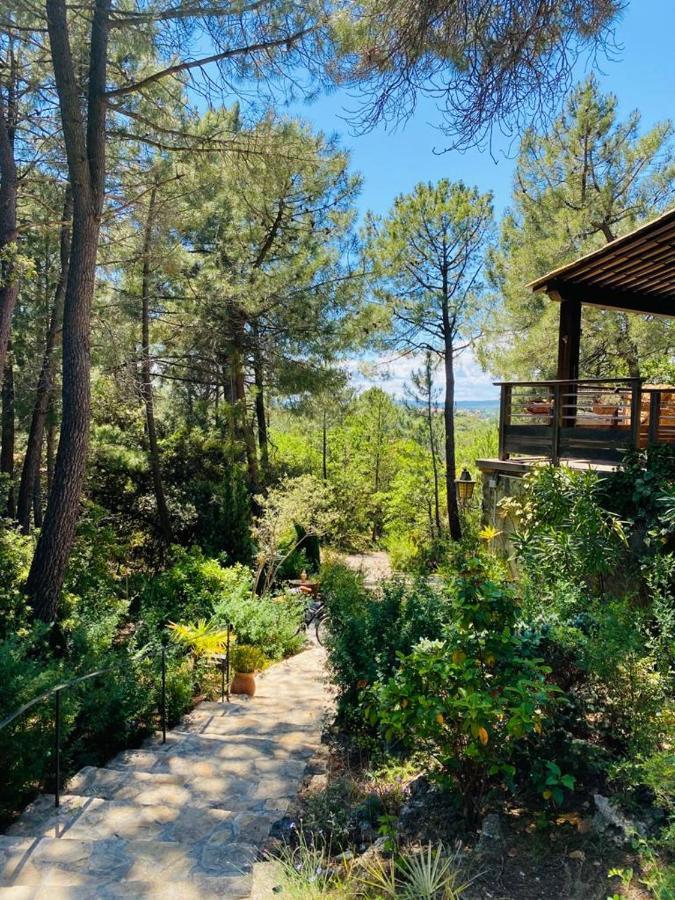 Lou Paradou Lodge Grillon Eksteriør bilde